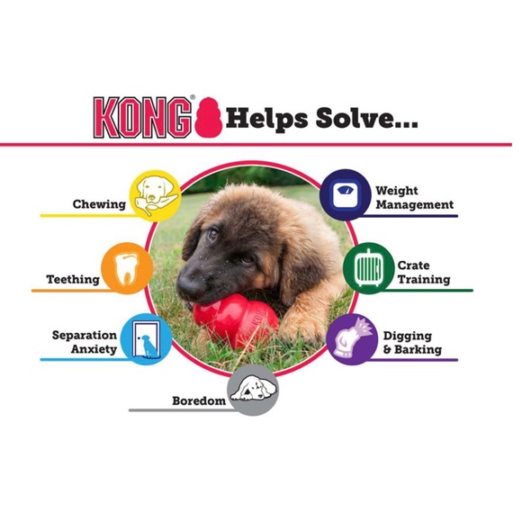 KONG PUPPY TOY FOR SMALL DOGS - Picture 6 of 11